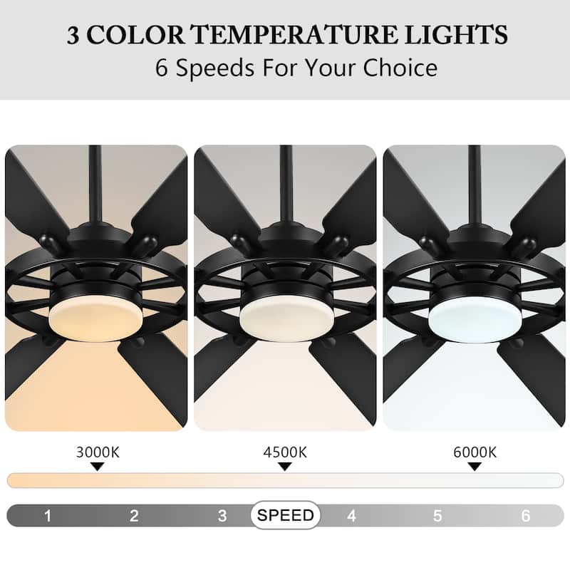 WINGBO 60-inch/72-inch 8-Blades Indoor DC Motor Ceiling Fan With LED Light and Remote Control