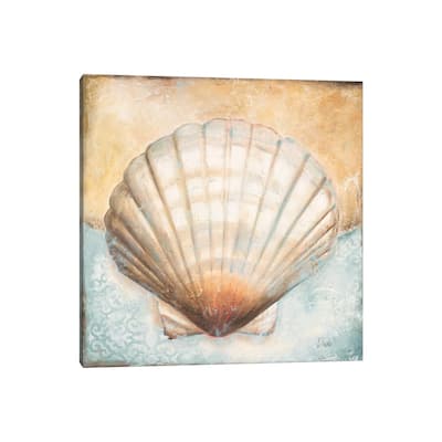 iCanvas "Seashell Collection III" by Patricia Pinto Canvas Print