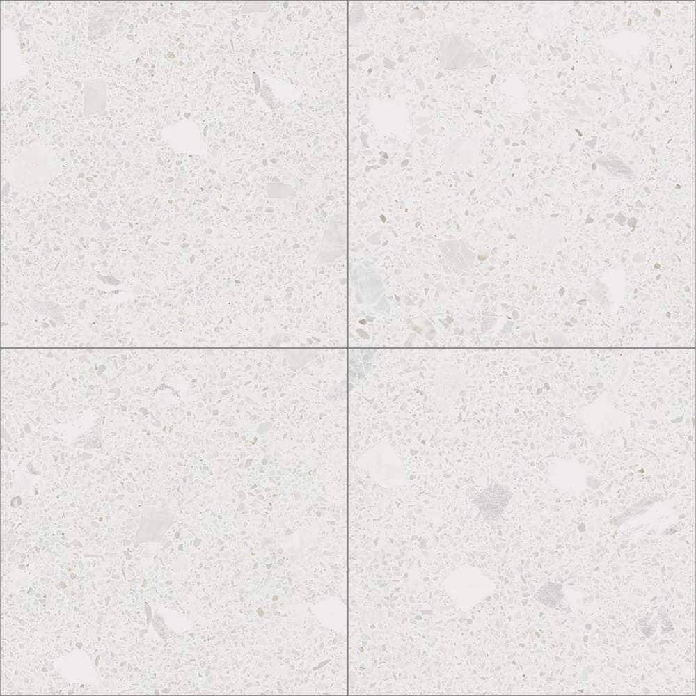 Terrazzo 24 x 24 Matte Porcelain Floor and Wall Tile