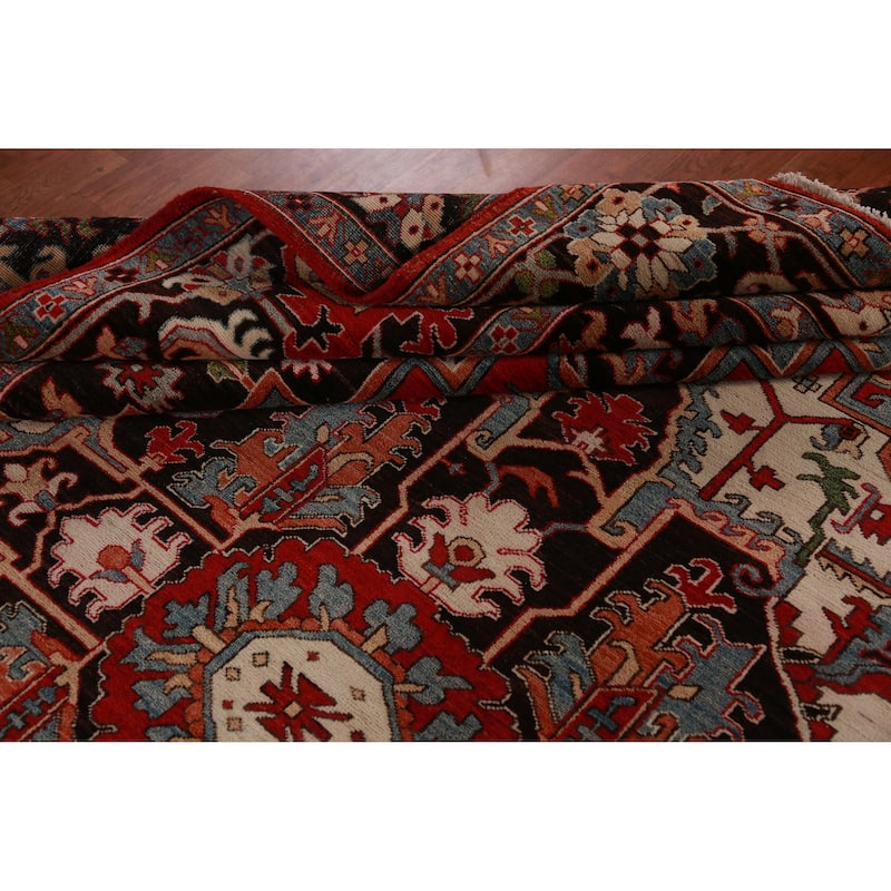 Vegetable Dye Heriz Oriental Area Rug Hand-Knotted Wool Carpet - 10'1"x 13'4"