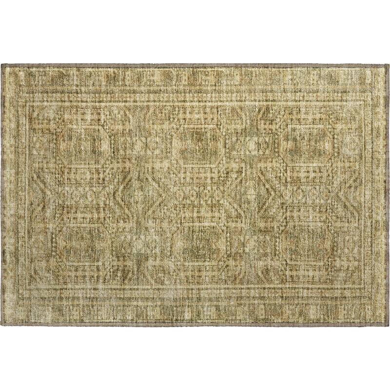 Premium Washable Super Soft Traditional Global Mayfield Rug