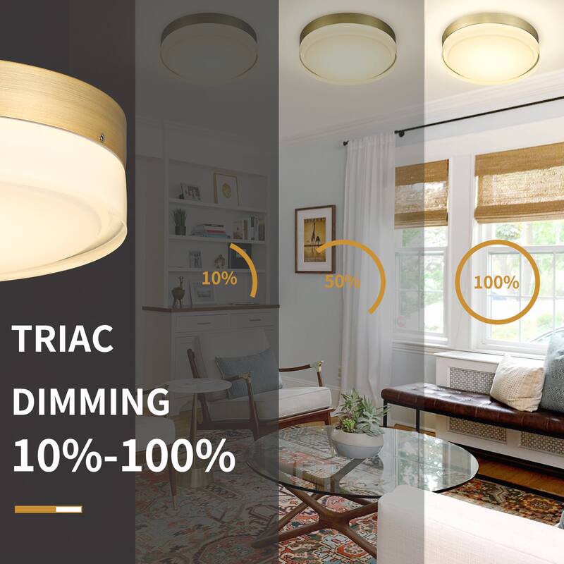 12-Inch Gold Ceiling Light with Frosted Glass - N/A