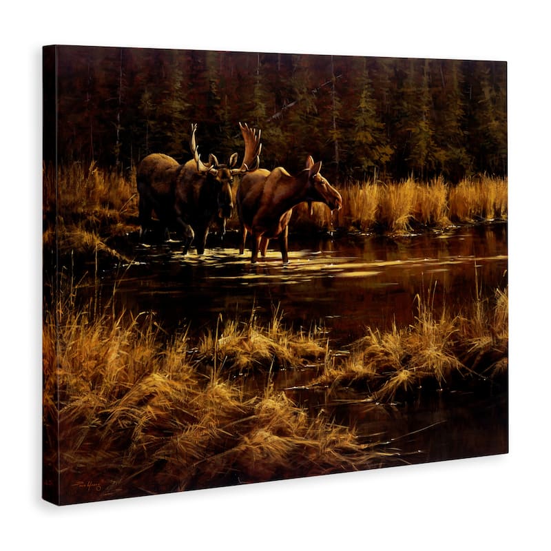 Stupell Moose Pair at Stream Canvas Wall Art Design By Paco Young