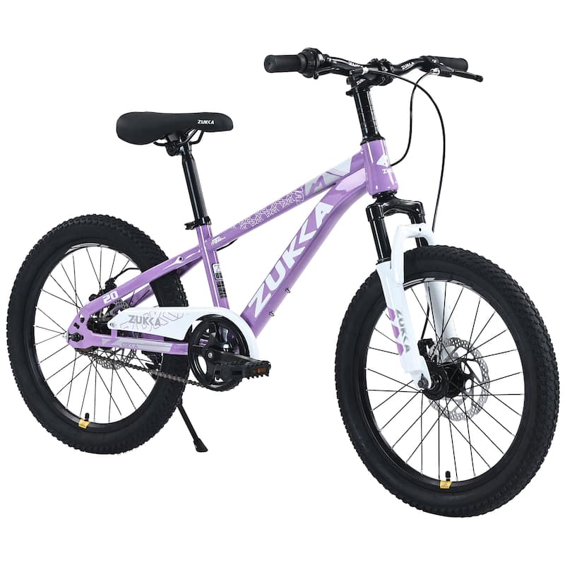 Mountain Cycling Bike 20 Inch Road Bicycle, Steel Single Speed Bikewith Dual Disc Brakes and Suspension Fork for Kids & Teens - Purple