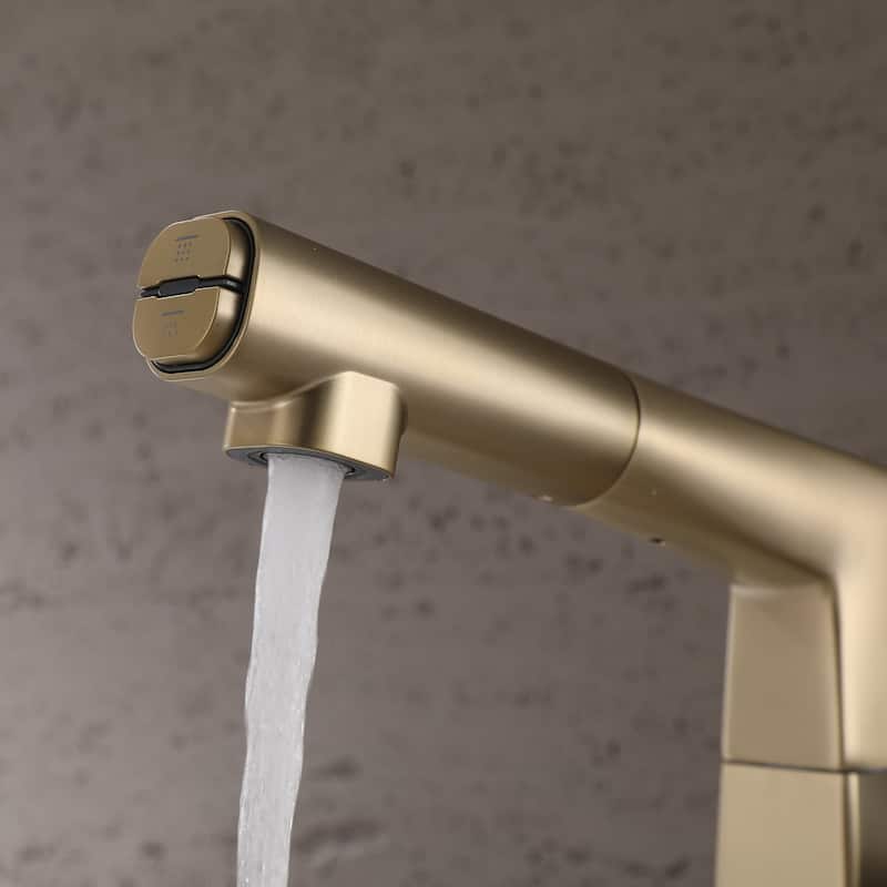Single Handle Double-Function Liftable Pull Out Bathroom Sink Faucet