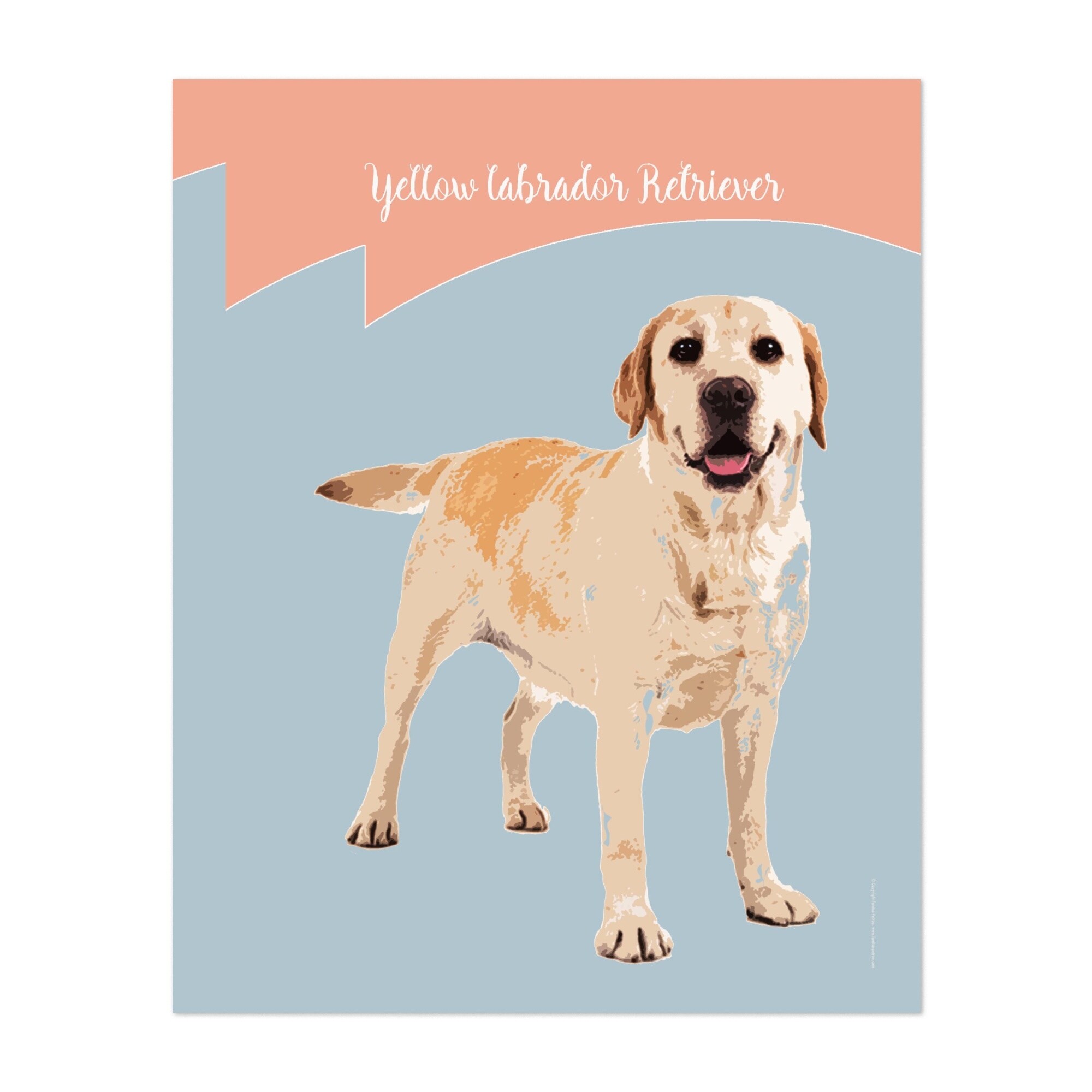 Shop Black Friday Deals On Animals Golden Retriever Unframed Wall Art Print Poster Overstock 31464572