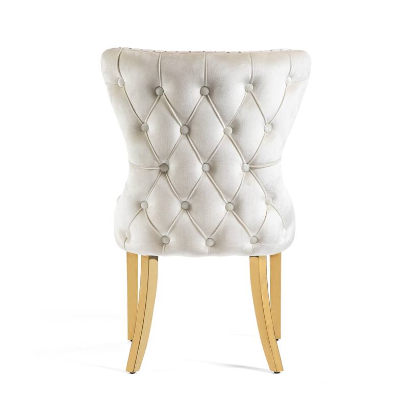 Furniture of America Thaddeus Glam Fabric Dining Chair with Nailhead Trim (Set of 2)