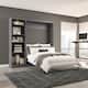 Option Bark Gray
