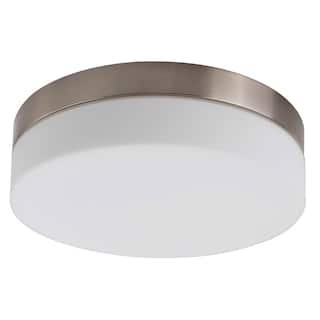 1 Light Flush Mount Ceiling light in Brushed Nickel
