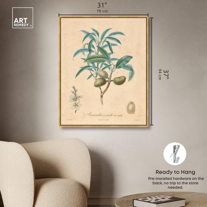 Almond of Georgia II Canvas by Art Remedy