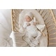 preview thumbnail 6 of 9, Ely's & Co. Organic Cotton Cluster Flower & Leaf Footie Collection