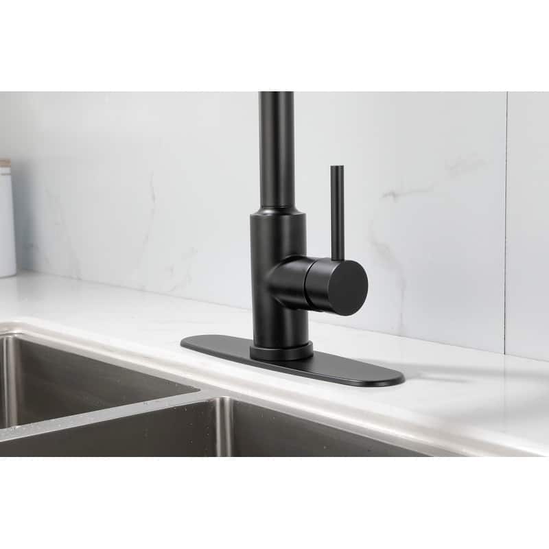 Kitchen Faucet with Pull Down Sprayer