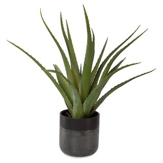 Uttermost Tucson Aloe Planter - 17"W x 19"H x 17"D