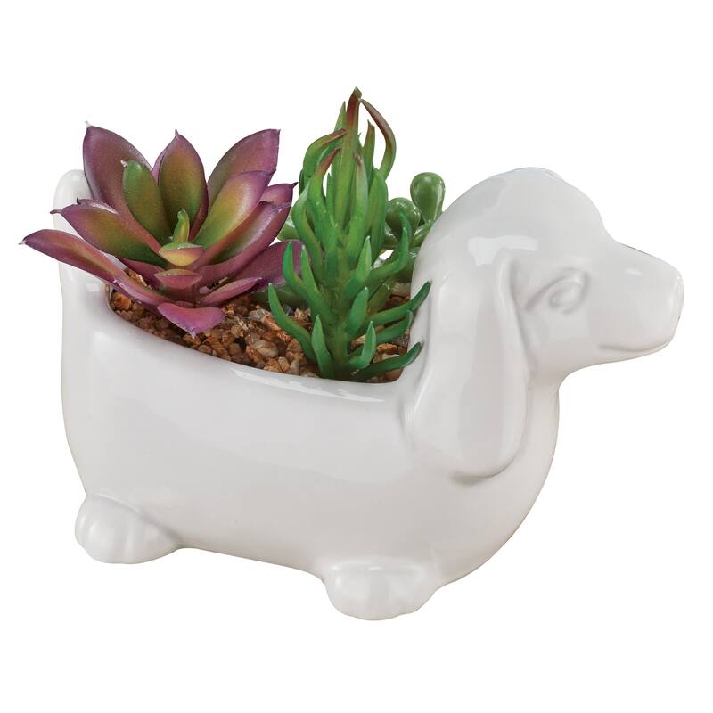 Fake Succulent Arrangement in White Ceramic Dachshund Pot - 5 x 4.5 x 3