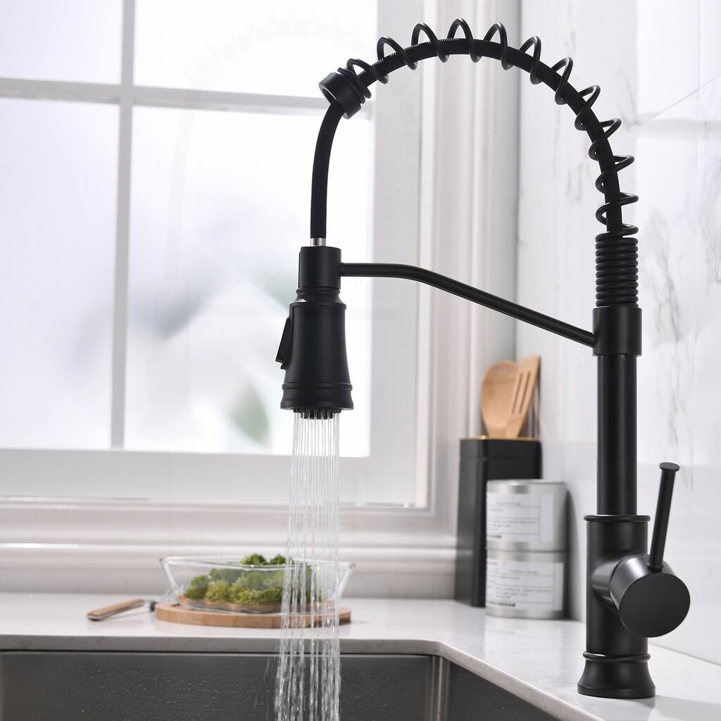 Kitchen Faucet with Pull Out Sprayer and Dual Rotatable Spouts