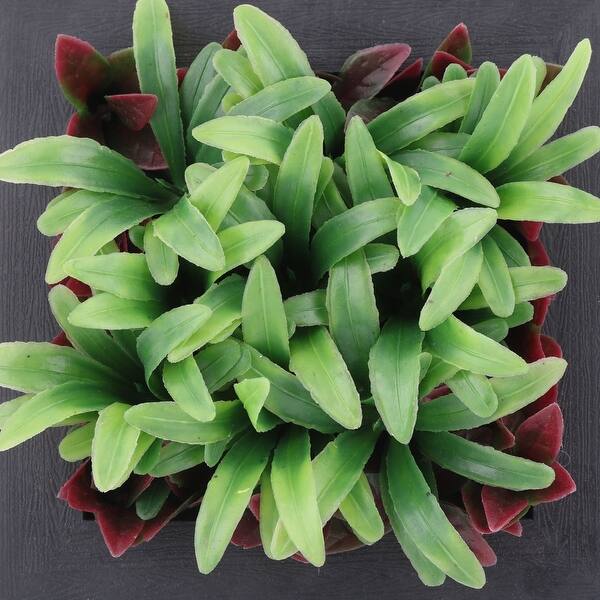 Shop For Home Bedroom Square Wall Hanging Artificial Grass Plant Decor Frame Red Get Free Shipping On Everything At Overstock Your Online Home Decor Outlet Store Get 5 In Rewards With Club O 28887535