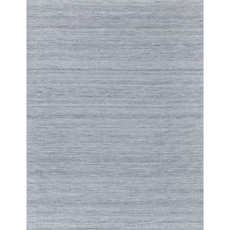 EXQUISITE RUGS Loro Indoor/Outdoor Flatweave PET yarn Light Silver Area Rug.