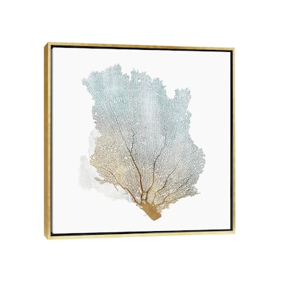 iCanvas "Delicate Coral I" by Isabelle Z Framed Canvas Print