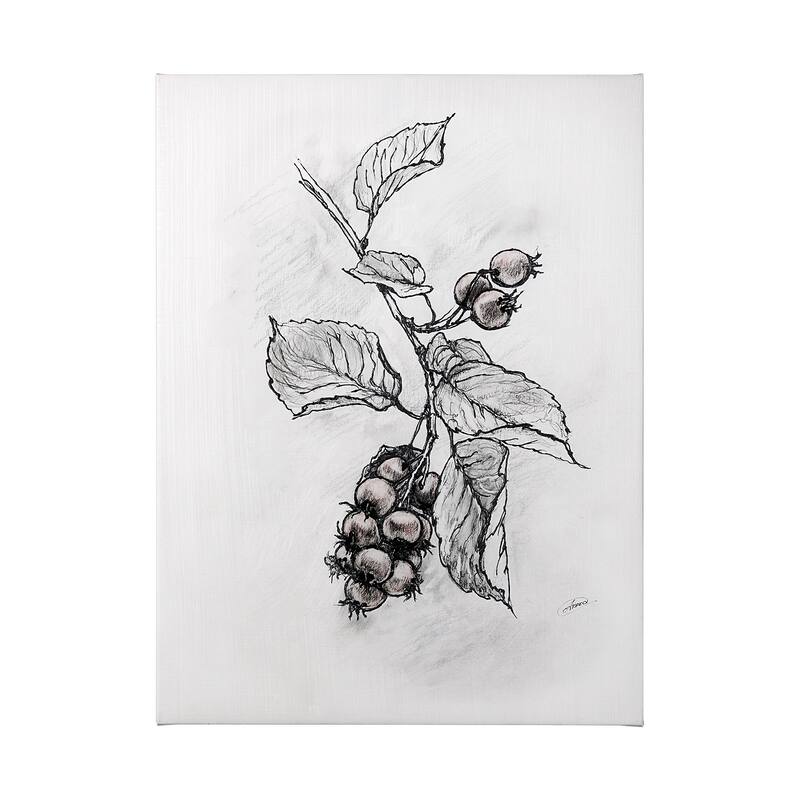 Wildberry Collection Saskatoonberry (36 x 48) Canvas Art Print - Large