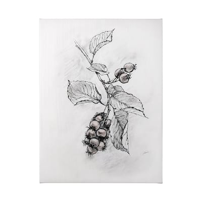 Wildberry Collection Saskatoonberry (36 x 48) Canvas Art Print