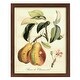 preview thumbnail 117 of 138, Printed Tuscan Fruits IV -Framed Print w/glass-Cherry Red 12x15 - Maple