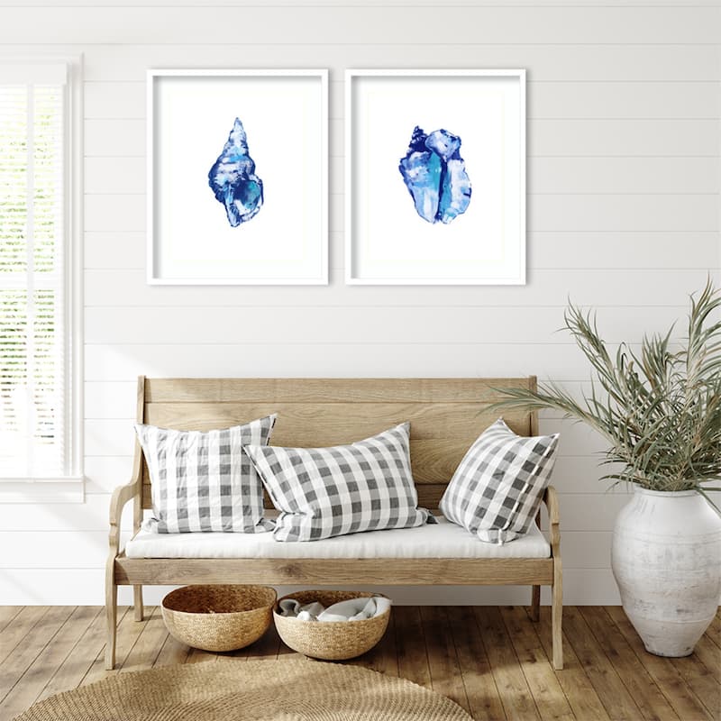 Blue Shell On White Background No. 1 & 2 2 Piece by Cartissi Framed Wall Art Prints