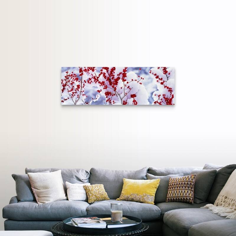 "Snow w/fruit tree Keihoku-Cho Kyoto Japan" Canvas Wall Art - 48 x 16