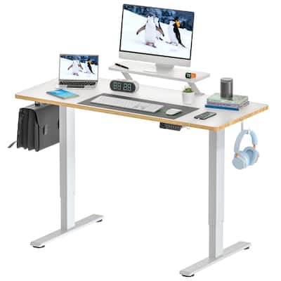 SANODESK 55x24 Inche Electric Home Office Desk Height Adjustable Computer Desk Standing Desk USB Charging Ports