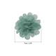 Option Dark Mint