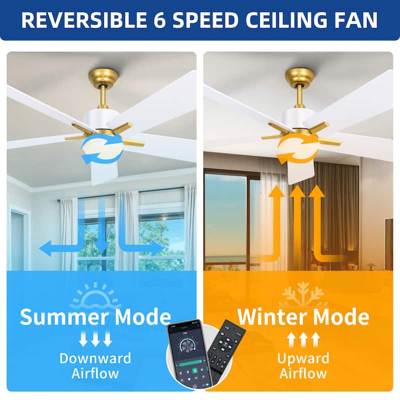 Moasis 52 Inch Dimmable Ceiling Fan with Light Remote and APP Control