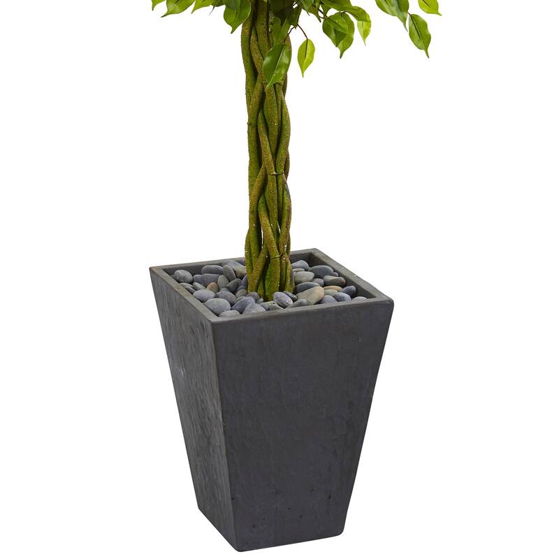 5ft Braided Ficus Artificial Tree in Slate Planter with UV Resistant Green Foliage and Braided Trunk for Indoor Use
