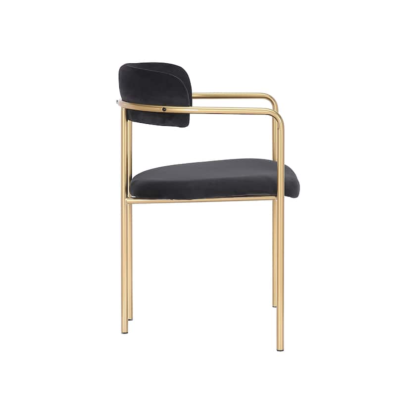 Porthos Home Eder Dining Chairs Set of 2, Velvet, Gold Chrome