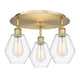 Option Clear / Brushed Brass