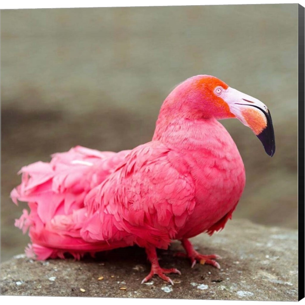 Pixelmated-Animals-'Short-neck