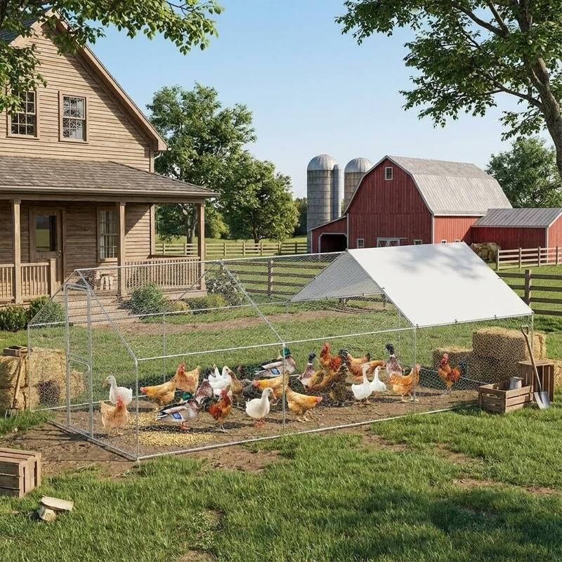 Metal Chicken Coop Walk in Chicken Run with Door for Outdoor Farm Yard - 9.8' W x 19.7' L x 6.6' H