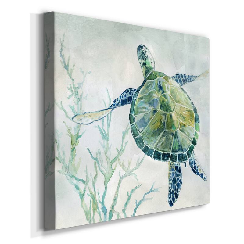 Seaglass Turtle II-Premium Gallery Wrapped Canvas - Ready to Hang