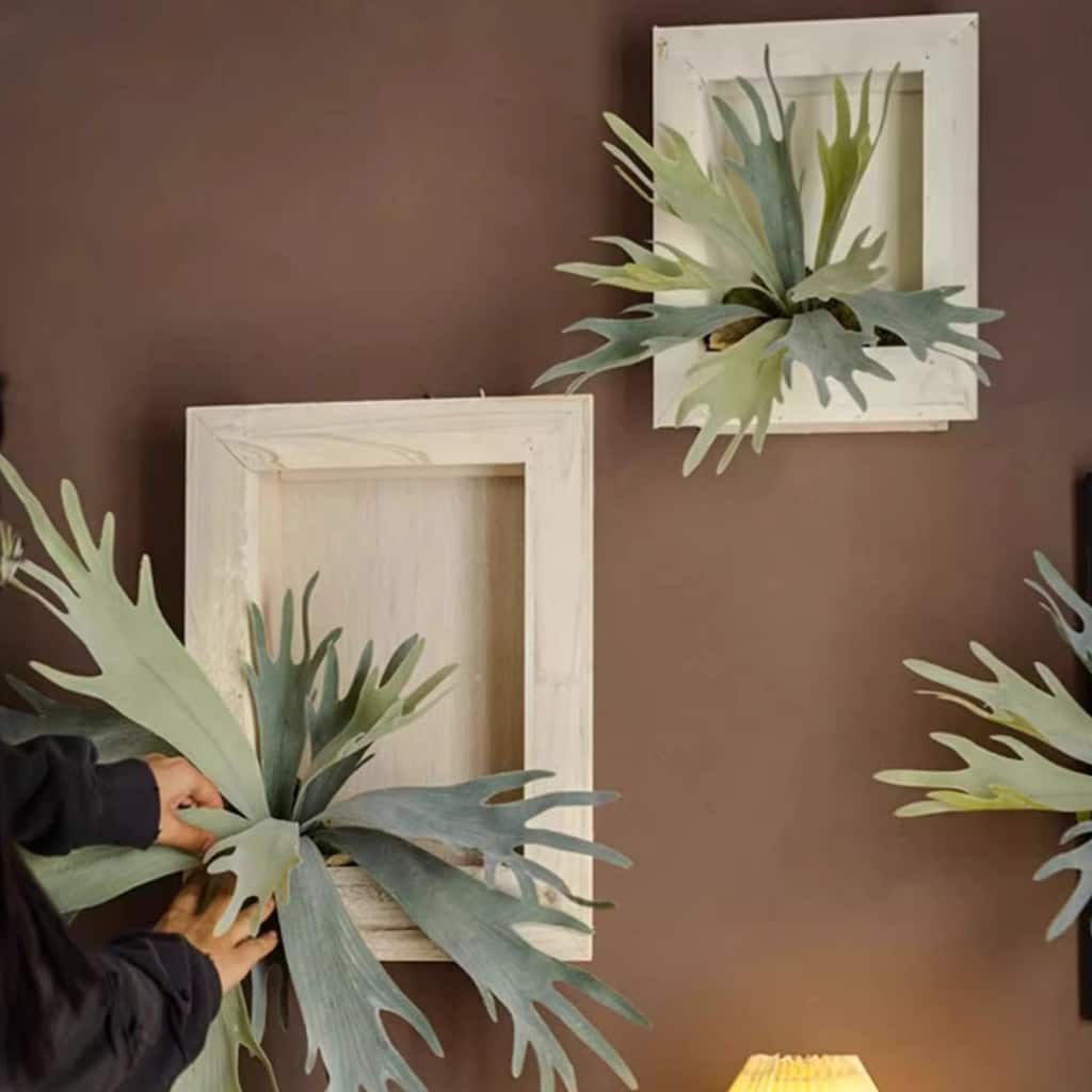 RusticReach Artificial Antler Fern with Wooden Frame