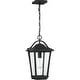 preview thumbnail 1 of 5, Darius 1-Light Outdoor Hanging Lantern in Earth Black Earth Black