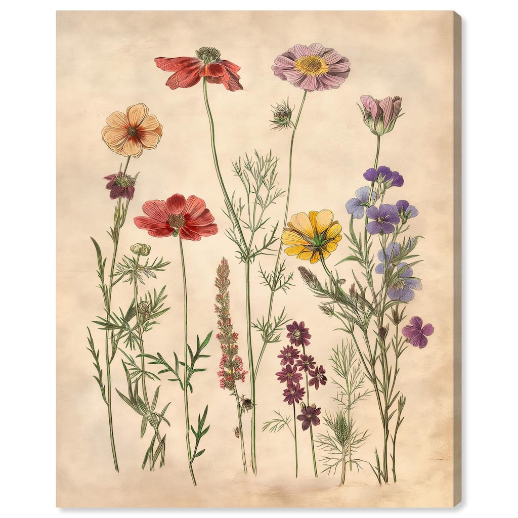 Pollinator Portrait II Canvas by Art Remedy, Gallery Wrapped