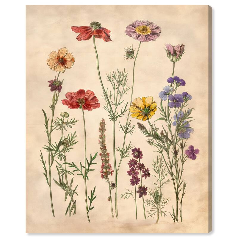 Pollinator Portrait II Canvas by Art Remedy, Gallery Wrapped - 24" x 30"