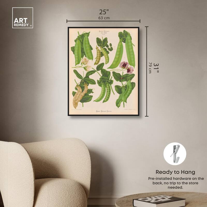 Podded Peas from Benary 1876 Canvas by Art Remedy