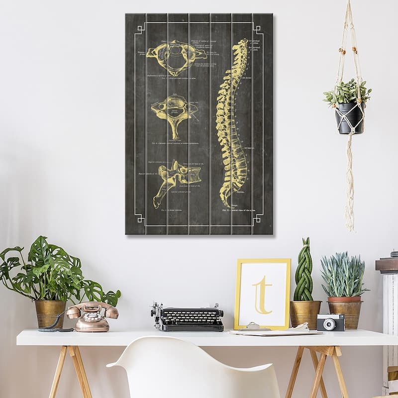 Bones Of The Spine Print On Wood by ChartSmartDecor - Multi-Color