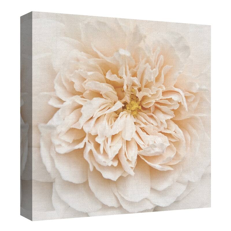 Cupcake Rose by Rebecca Swanson Canvas Art Print