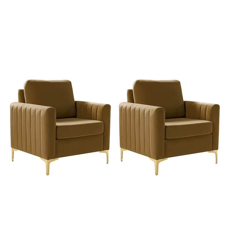 Ganymedes Modern Velvet Accent Arm Chair with Golden Legs and Removable Cushion by HULALA HOME