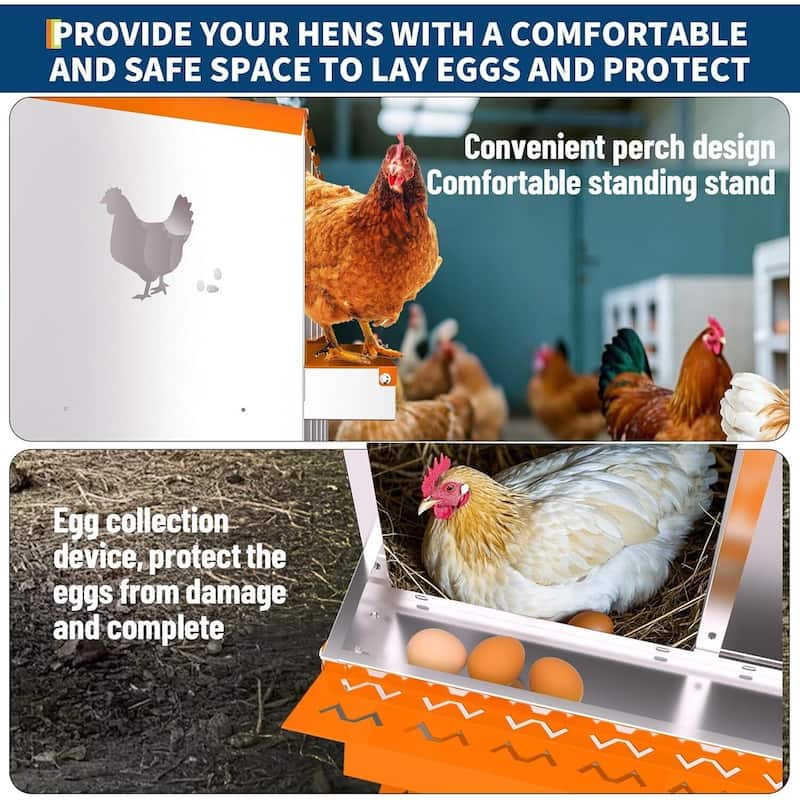 8 Compartment Metal Chicken Nesting Box, Laying Box for Hens Ducks Rabbits, Orange