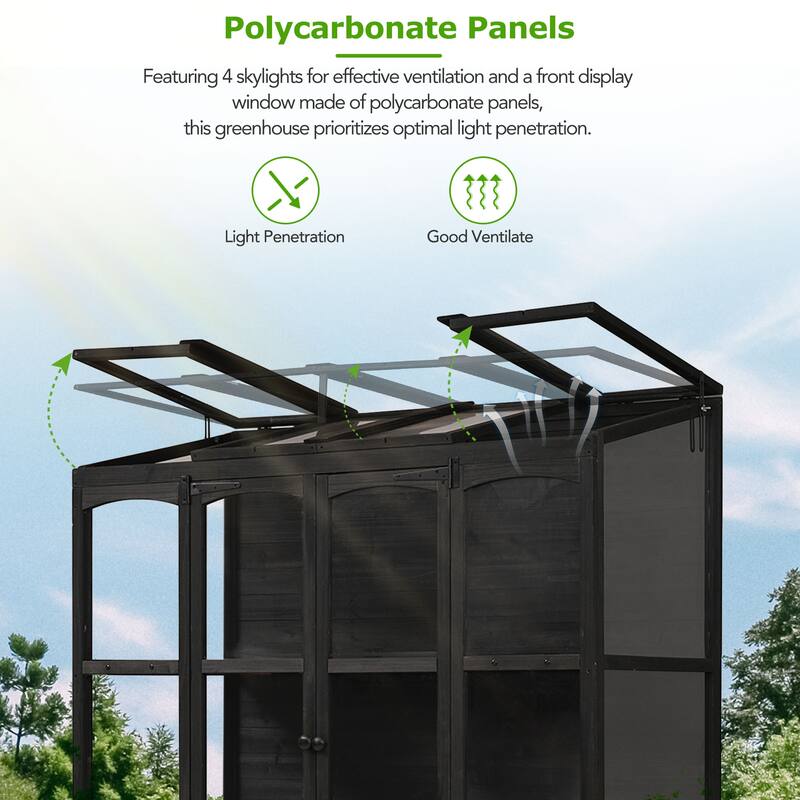 78"H Fir Wood Walk-in Greenhouse with 4 Skylights & 2 Folding Shelves