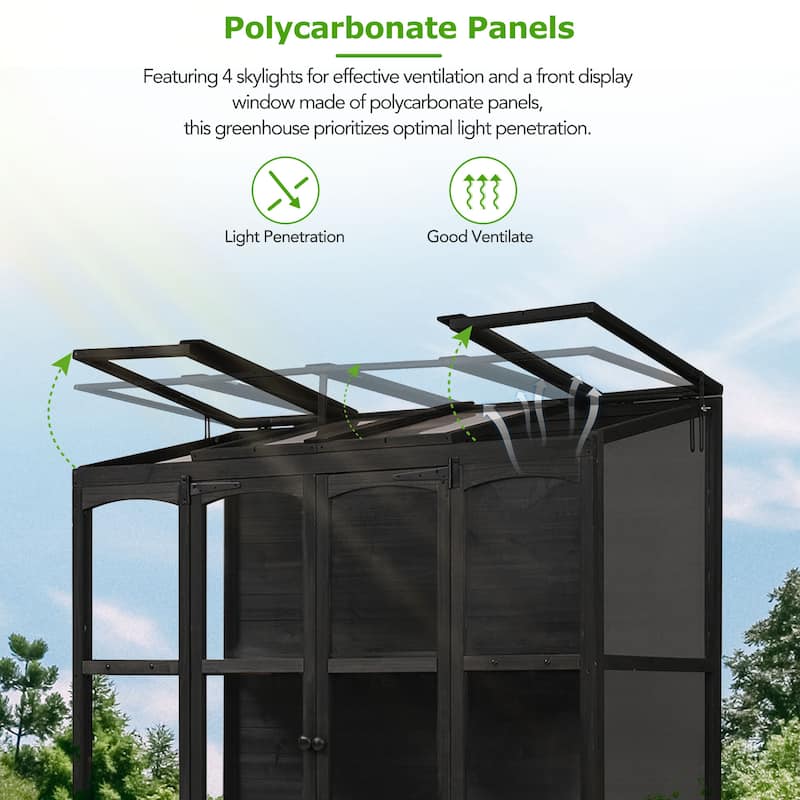 78-inch Wooden Greenhouse Cold Frame with 4 Independent Skylights and 2 Folding Middle Shelves