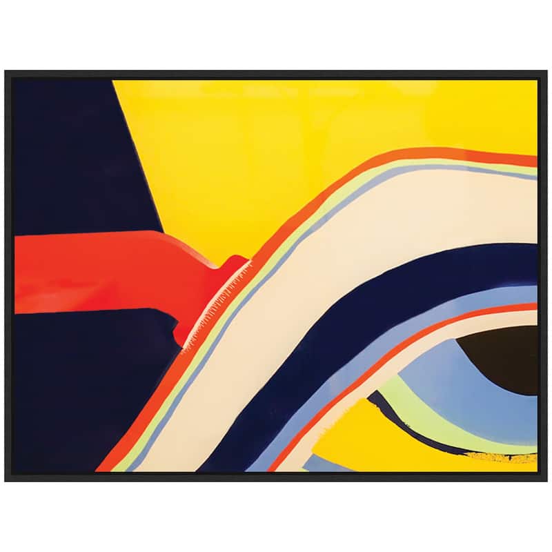 Kate and Laurel Sylvie Retro Bright Abstract True Color 1 Framed Canvas by Grant Mahr