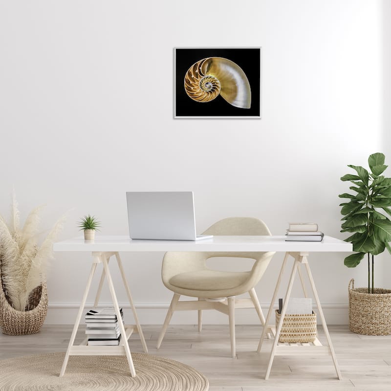 Stupell Tan Nautilus Shell on Black Framed Giclee Art Design By Mary Lou Johnson