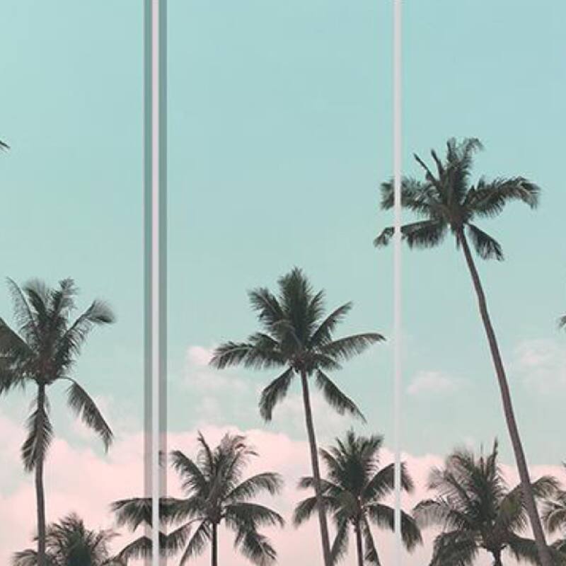 72 Inch 3 Panel Canvas Foldable Room Divider, Blue Sky, Palm Trees, Black